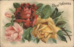 Best Wishes with Red, Yellow, and Pink Roses Bouquet Postcard