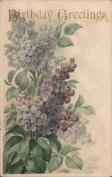 Birthday Greetings with Lilac Flowers Postcard