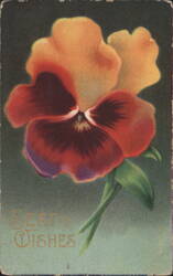 Colorful Pansy Flower with 'Best Wishes' Greeting Postcard