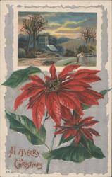 Poinsettias & Winter Landscape, A Merry Christmas Postcard