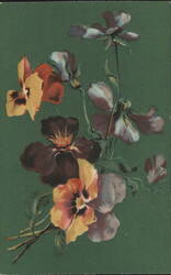 Colorful Pansies and Flowers Bouquet, Printed in Germany Postcard