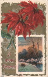 Poinsettias and Winter Landscape with "A Merry Christmas" Greeting Postcard