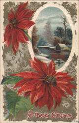 Poinsettias and Winter Landscape, A Merry Christmas Greeting Postcard