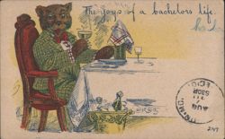 Dressed Bear Enjoying Bachelor's Life, Drinking Champagne, Comic Postcard
