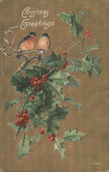 Christmas Greetings with Two Birds on Holly Branch Postcard