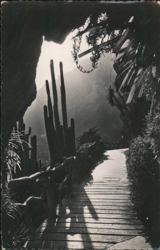 Jardin Exotique de Monaco - Path with Cacti