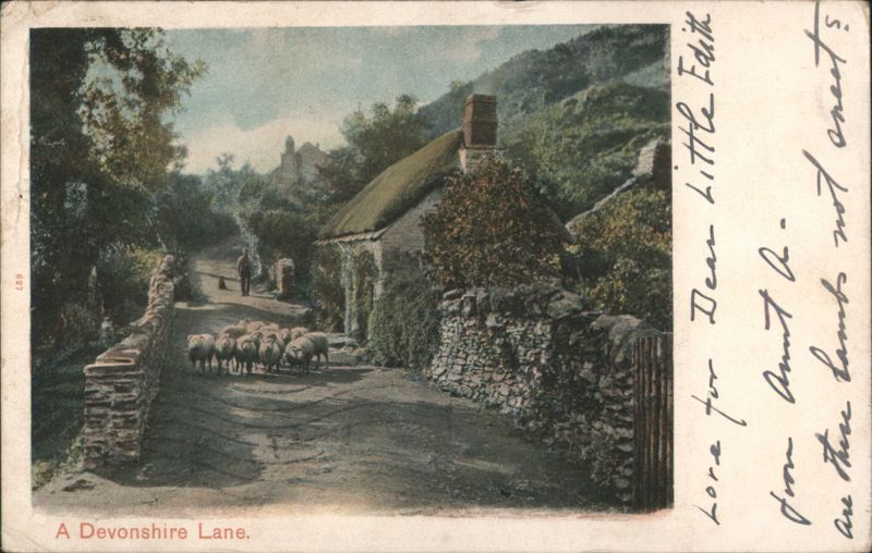 Devonshire Lane, Man, Sheep, Thatched House, Stone Walls United Kingdom