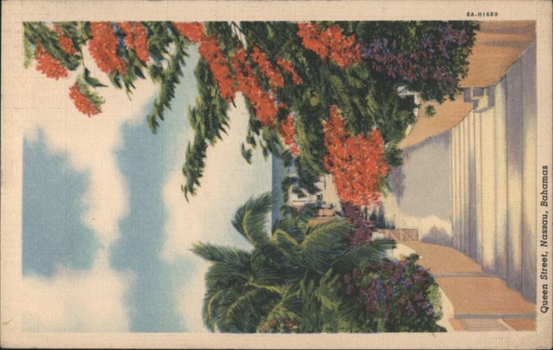Queen Street, Nassau, Flowering Trees and Palms Bahamas