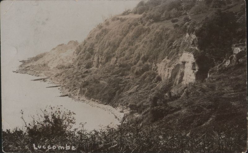 Luccombe Bay Coastal Cliffs & Beach United Kingdom