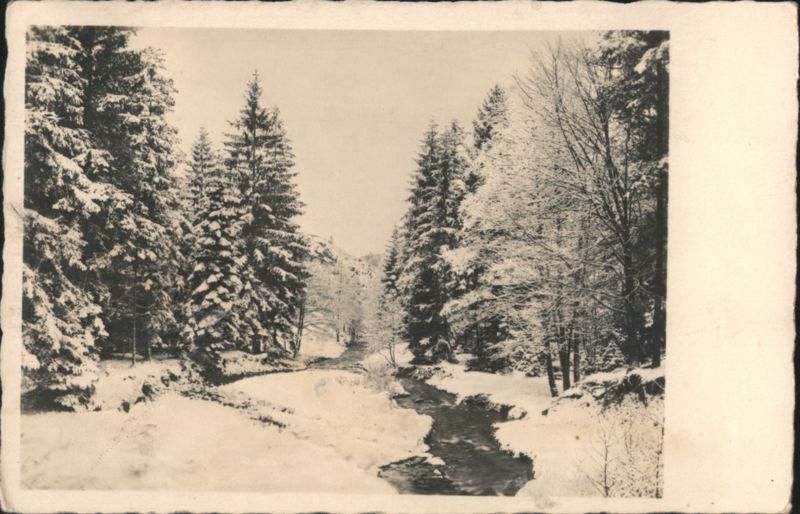 Snowy Forest Stream, Merry Christmas and Happy New Year
