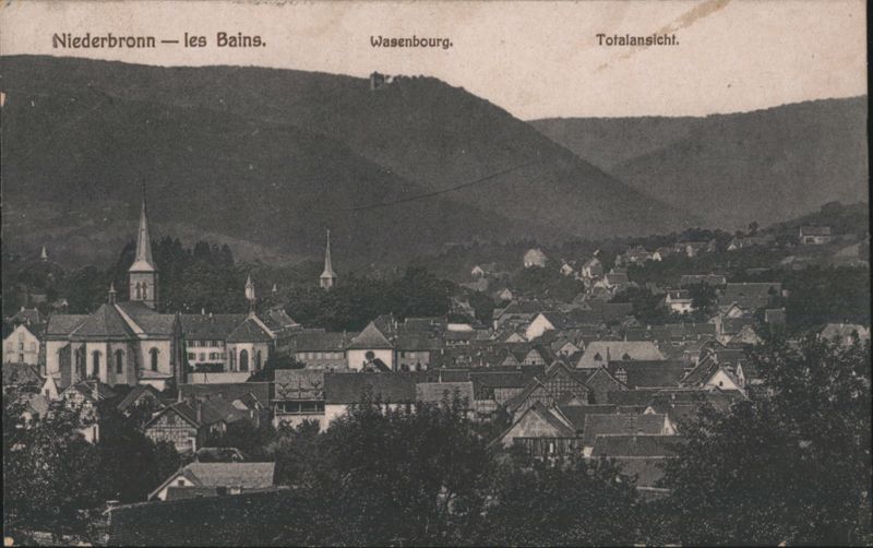 Niederbronn-les-Bains, Wasenbourg Totalansicht France