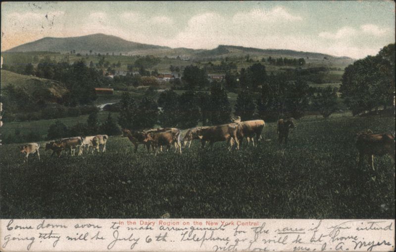 Cows in Dairy Region, New York Central, Amsterdam, NY
