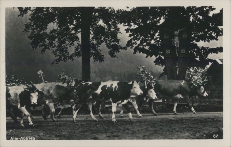 Alm-Abtrieb: Decorated Cows, Crucifix Reitbeine Germany