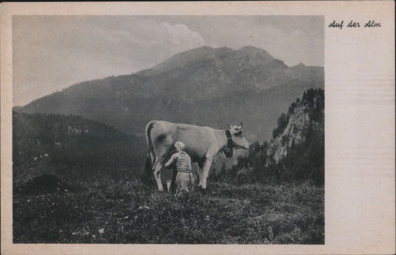 Auf der Alm: Woman Milking Cow, German Alps Germany