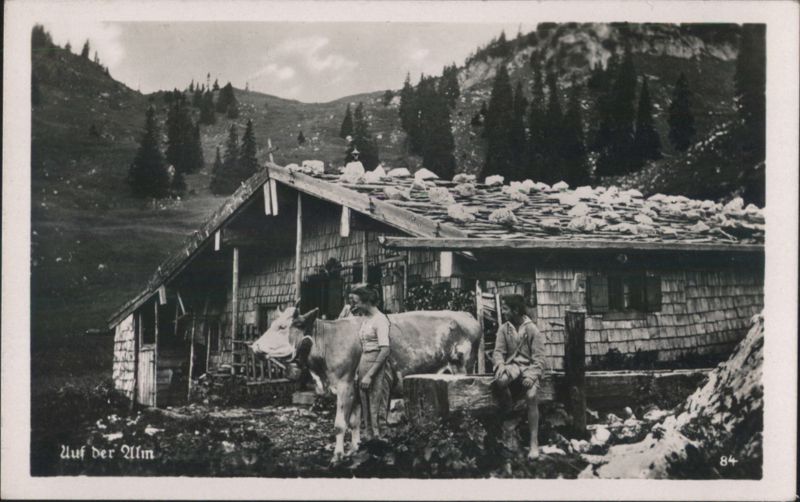 Auf der Alm - Alpine Hut, Cows, and People in Mountains
