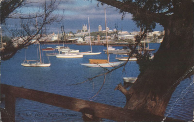 Red Hale, Paget, Bermuda - Sailboats & Town View