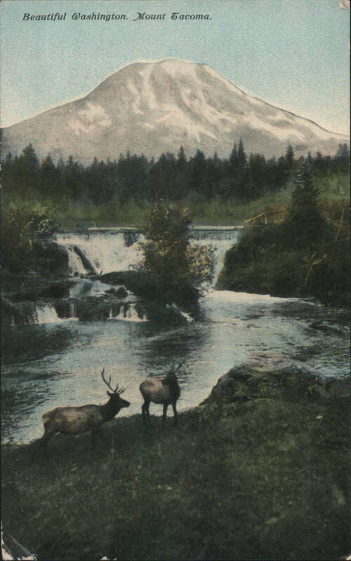 Beautiful Washington. Mount Tacoma.