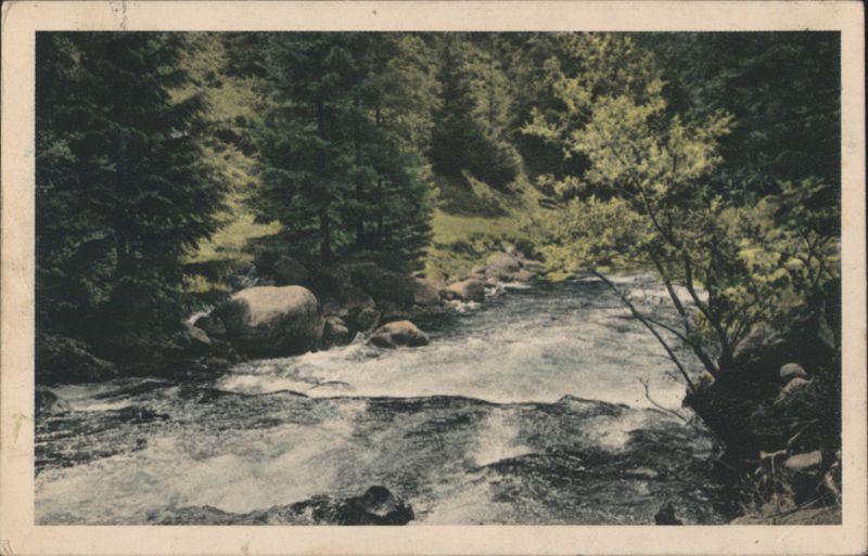 Mountain River in Forest Czechoslovakia
