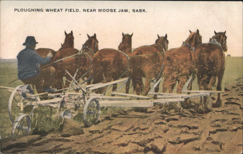 Ploughing Wheat Field, Moose Jaw, SK Canada Saskatchewan