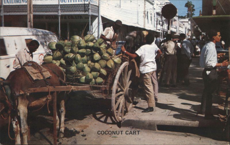 Coconut Vendor's Cart, downtown Port-of-Spain Trinidad and Tobago