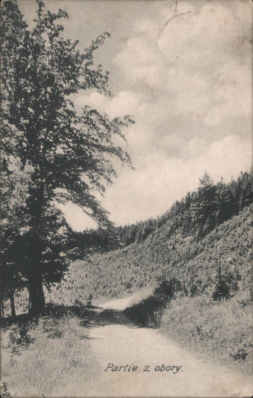 Forest Path, Hills, Trees, Partie z obory
