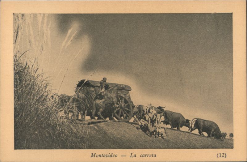 Montevideo Ox Cart 'La Carreta' Uruguay