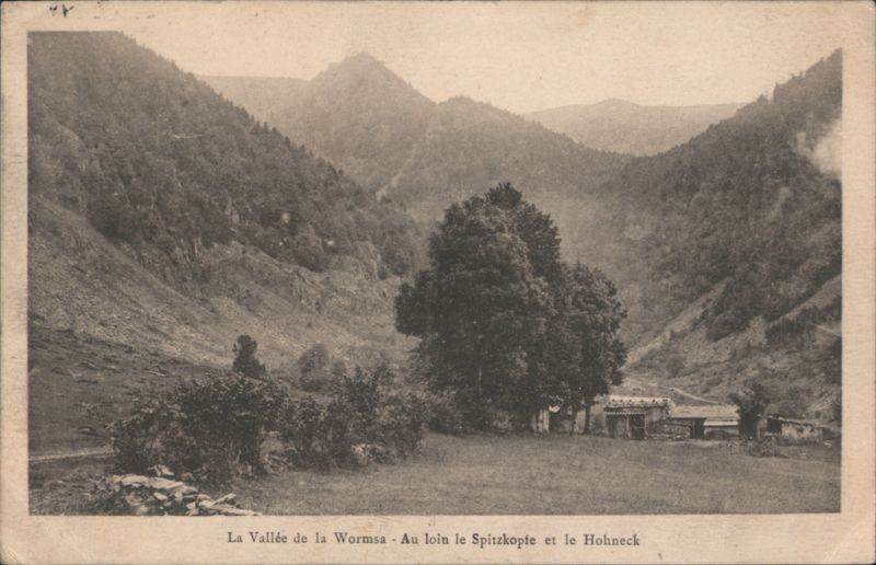 La Vallée de la Wormsa - Au loin le Spitzkopfe et le Hohnheck France