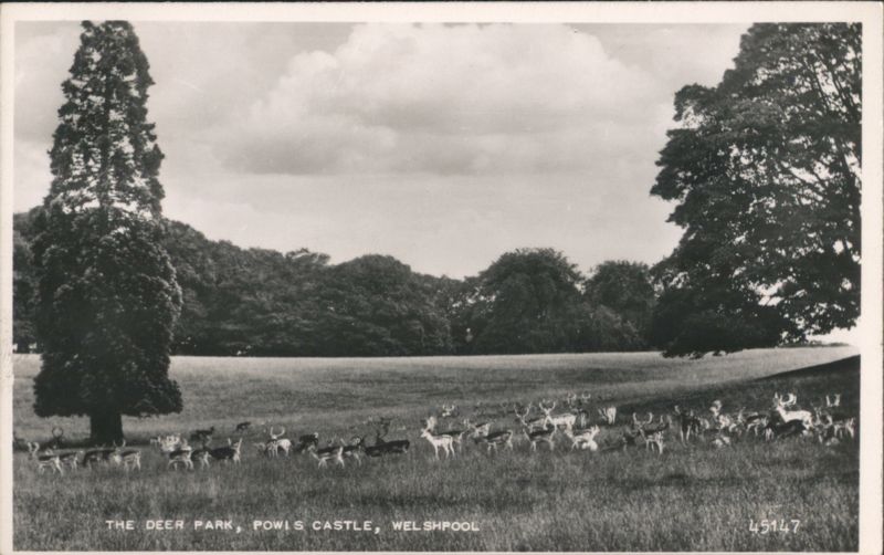 Deer Park, Powis Castle, Welshpool Wales
