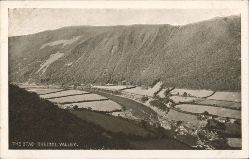 THE STAG - RHEIDOL VALLEY United Kingdom
