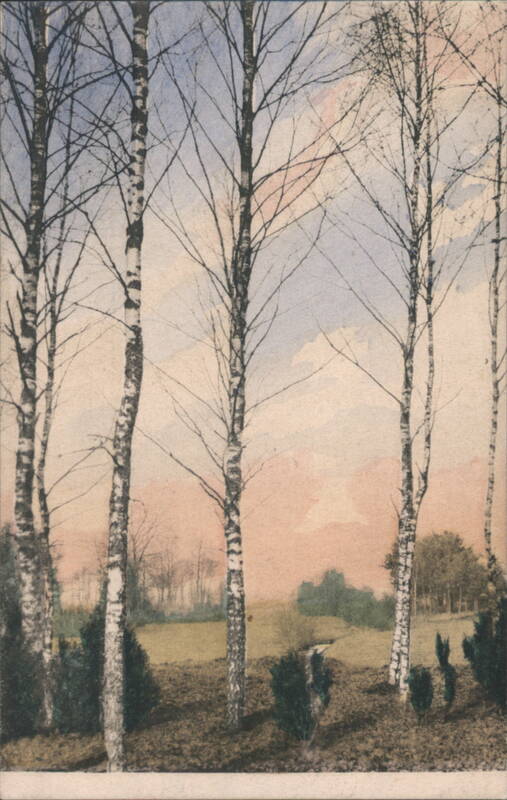 Birch Grove Landscape, Im Birken-Wäldchen Trees