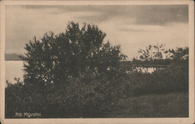 Mývatn Lake Landscape with Trees, Iceland H. Einarsson