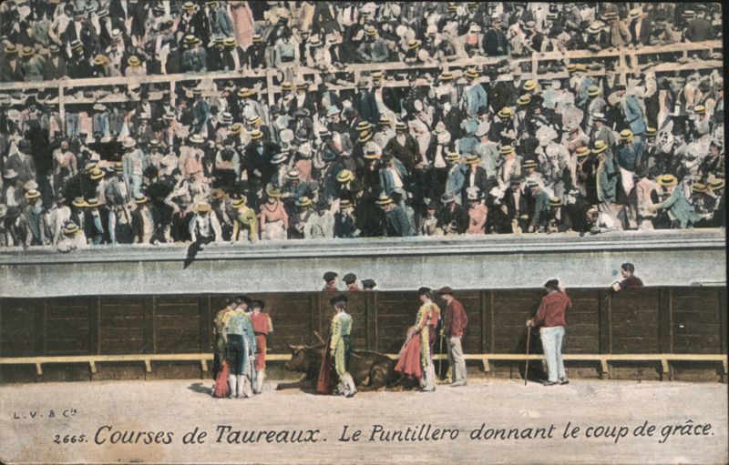 Bullfight: Puntillero Giving Coup de Grâce to Bull