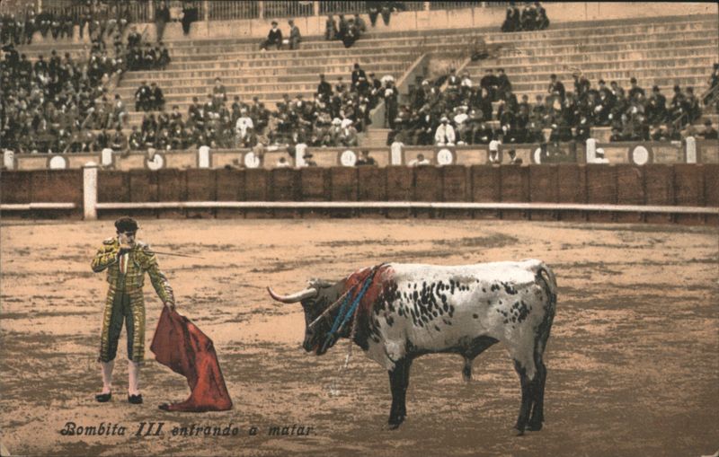 Bombita III Matador Entering to Kill Bullfight Scene