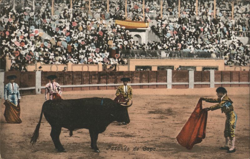 Bullfighting: Pasando de Capa with Torero and Bull