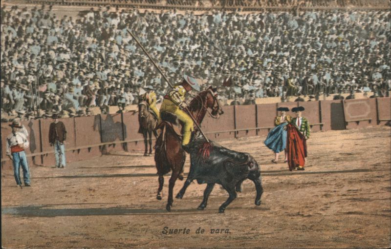 Bullfight Picador on Horseback Suerte de Vara Horses