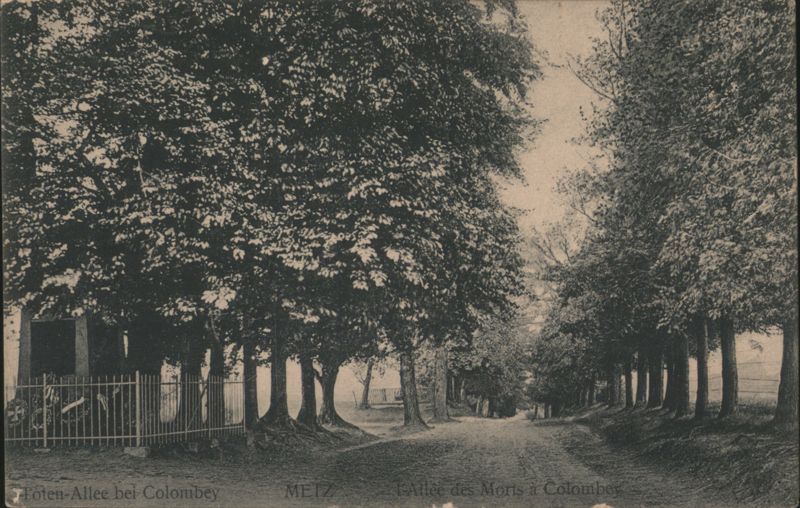 Fôten-Allee / L'Allée des Moris, Colombey France