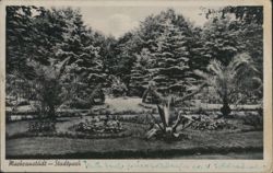 Mackcanstädt Stadtpark with Palm Trees Postcard
