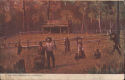 Far Interior of Australia, People in Bush Setting Postcard