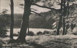 Insel Rügen. Hertha See Postcard