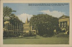 McGill University Buildings from Campus, Montréal, Canada Postcard
