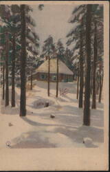 Winter Forest Scene with Snowy House Postcard