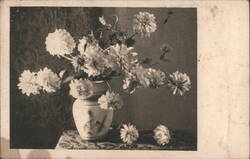 Still Life Dahlias in Vase Black and White Postcard