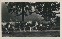 Alm-Abtrieb: Decorated Cows, Crucifix Postcard