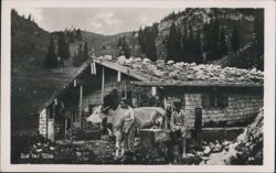 Auf der Alm - Alpine Hut, Cows, and People in Mountains Postcard