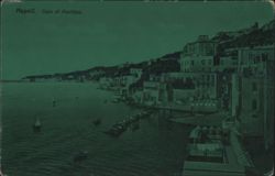 Napoli Capo di Posillipo Postcard