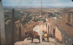 Calle Tipica San Miguel Allende, Guanajuato Postcard