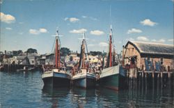 Fishing Boats, Gloucester Harbor Postcard