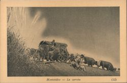 Montevideo Ox Cart 'La Carreta' Postcard