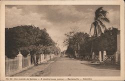 A country-house avenue, Barranquilla, Colombia Postcard