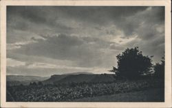 Cloudy Landscape with Fields and Distant Hills Postcard